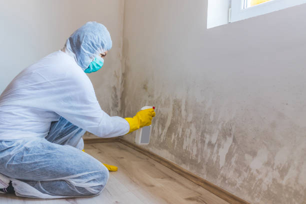 Licensed Mold Testing service in Alpharetta, GA - WQB Mold Removal