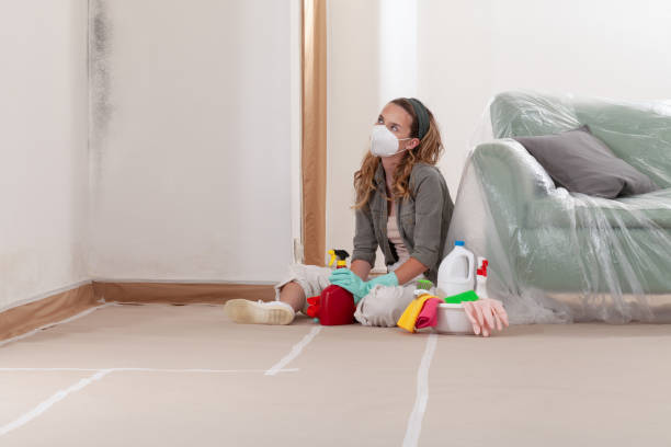 Reliable Mold Testing contractor in Alpharetta, GA by WQB Mold Removal